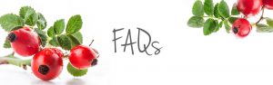 frequently asked questions_header